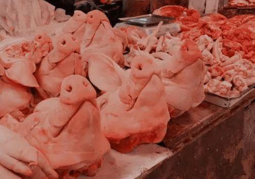 猪头娱乐圈吃瓜,揭秘明星们的“吃瓜”生活